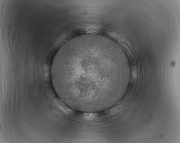 X0000097990667200803241342