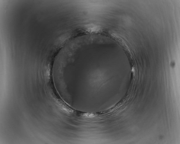 X0000097990668200803241342