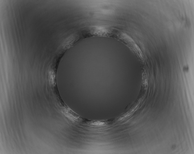 X0000097990669200803241342