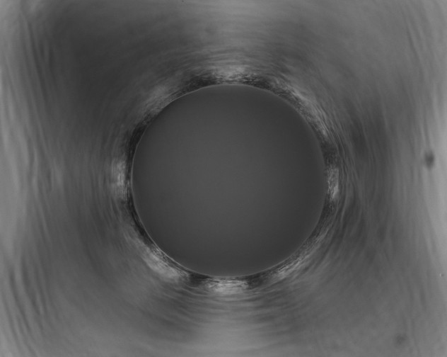 X0000097990670200803241342