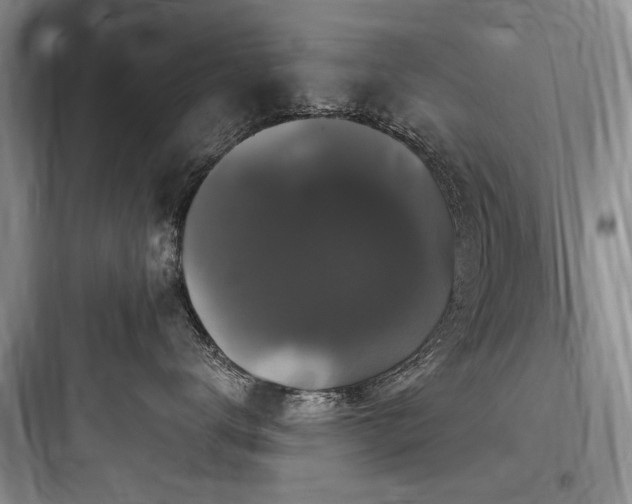 X0000097990672200803241343