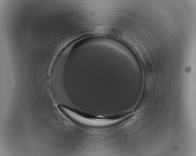 X0000097990673200803241342