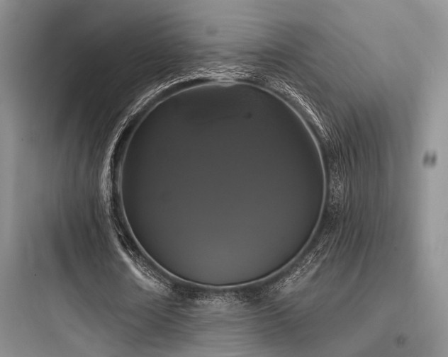 X0000097990674200803241342