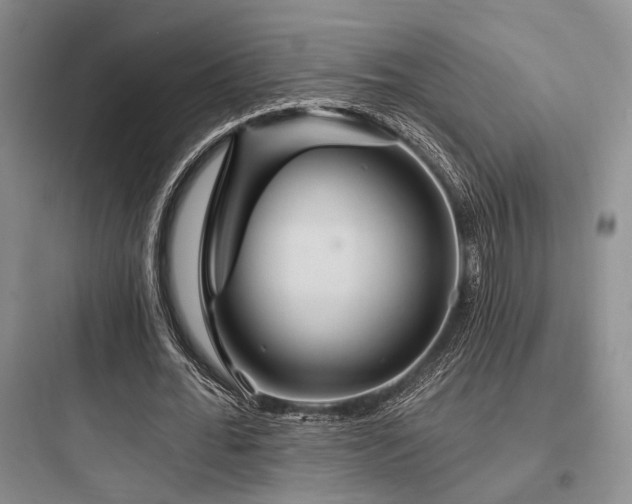X0000097990676200803241342