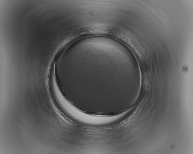X0000097990677200803241342