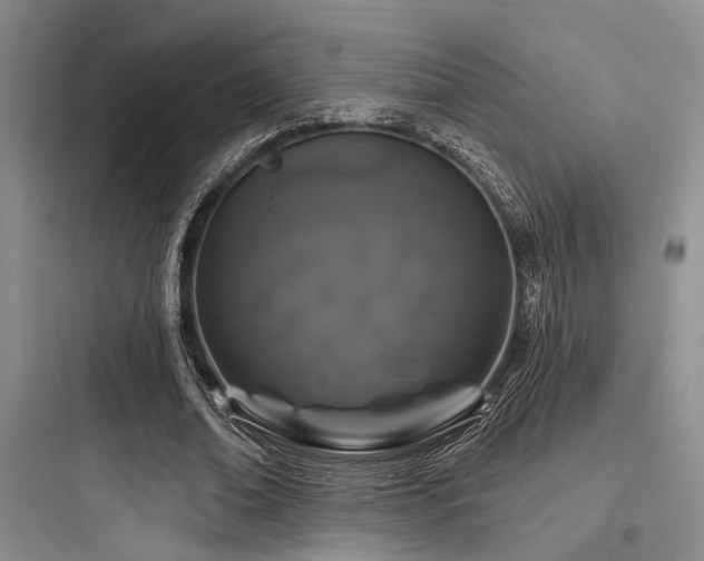 X0000097990678200803241342