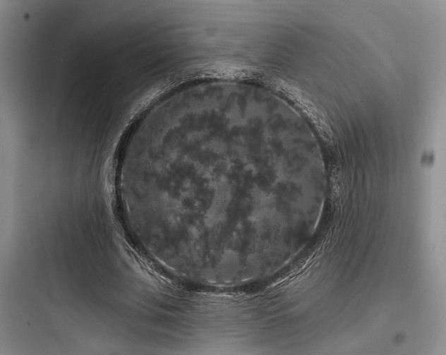 X0000097990679200803241342