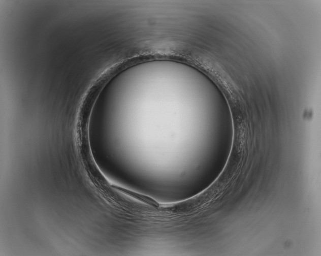 X0000097990680200803241342