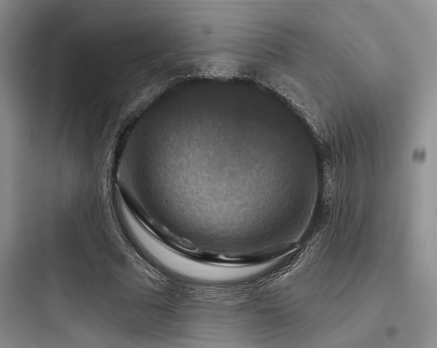 X0000097990681200803241342
