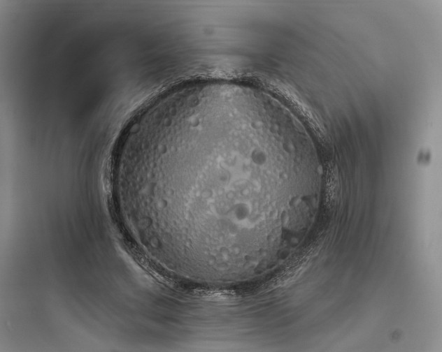 X0000097990683200803241342