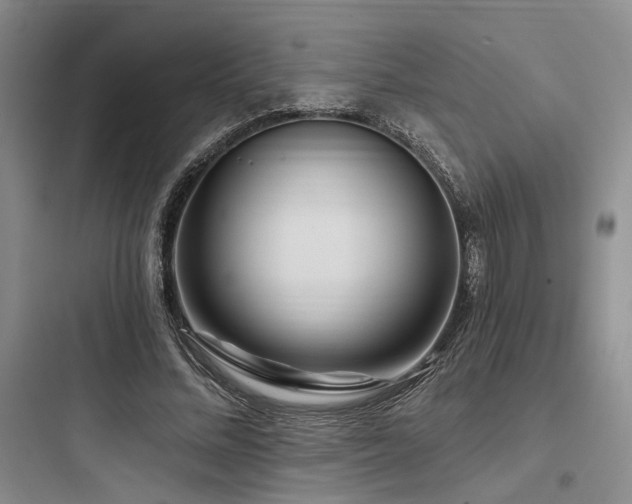 X0000097990684200803241342