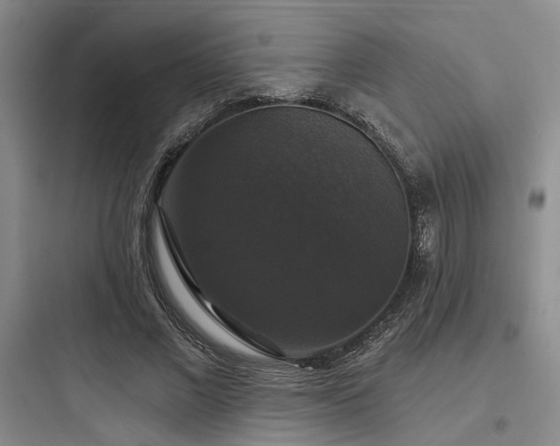 X0000097990685200803241342