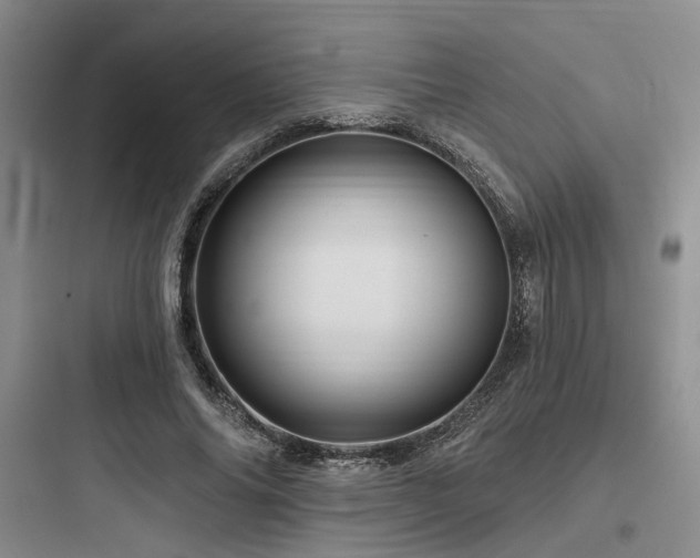 X0000097990686200803241342