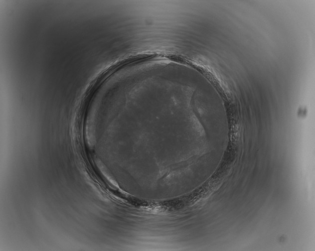X0000097990688200803241342