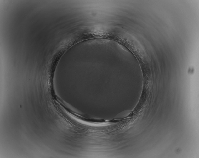 X0000097990689200803241342