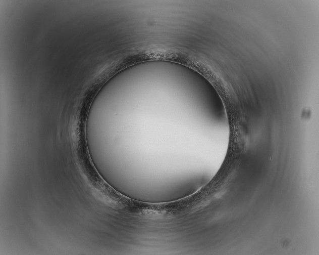 X0000097990690200803241342