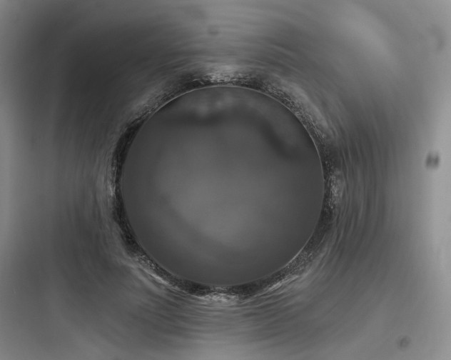 X0000097990691200803241342