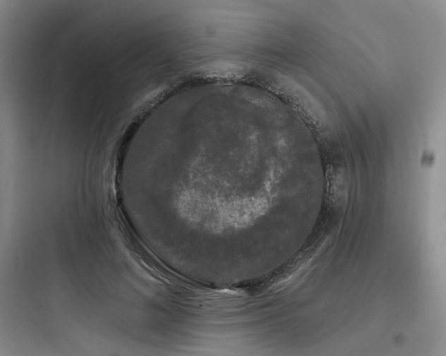 X0000097990692200803241342