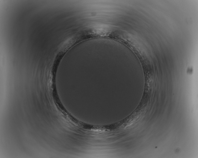 X0000097990693200803241342