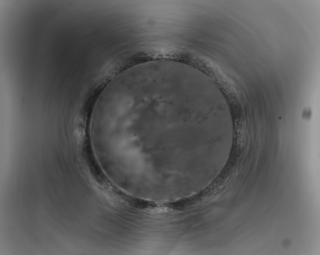 X0000097990695200803241341