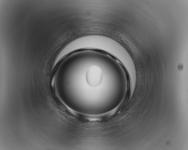 X0000097990696200803241341
