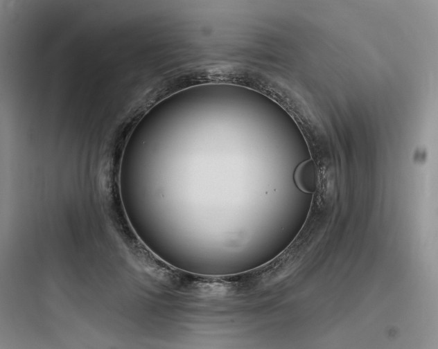 X0000097990698200803241341