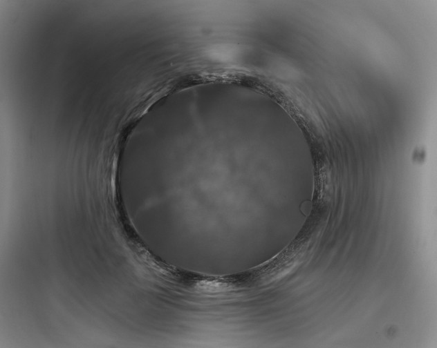 X0000097990699200803241341