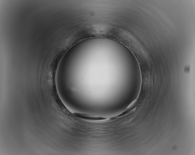 X0000097990700200803241341