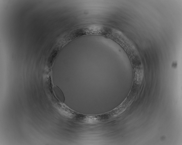 X0000097990701200803241341