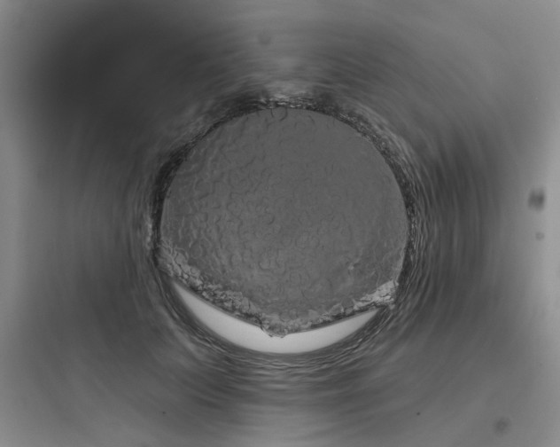 X0000097990703200803241341