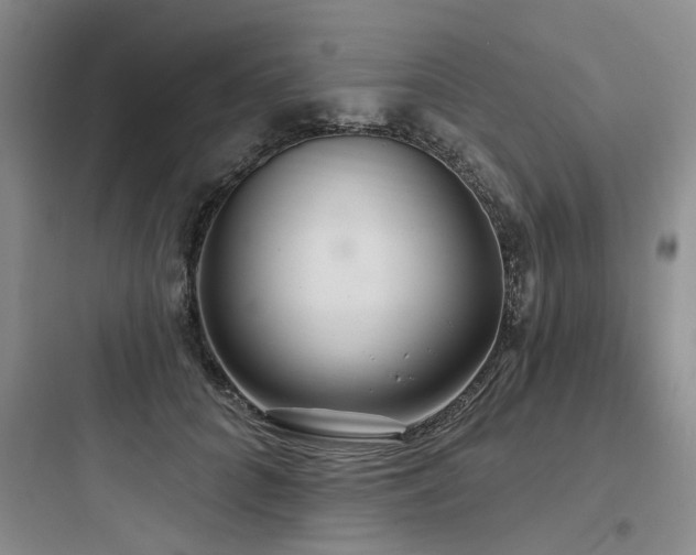 X0000097990704200803241341