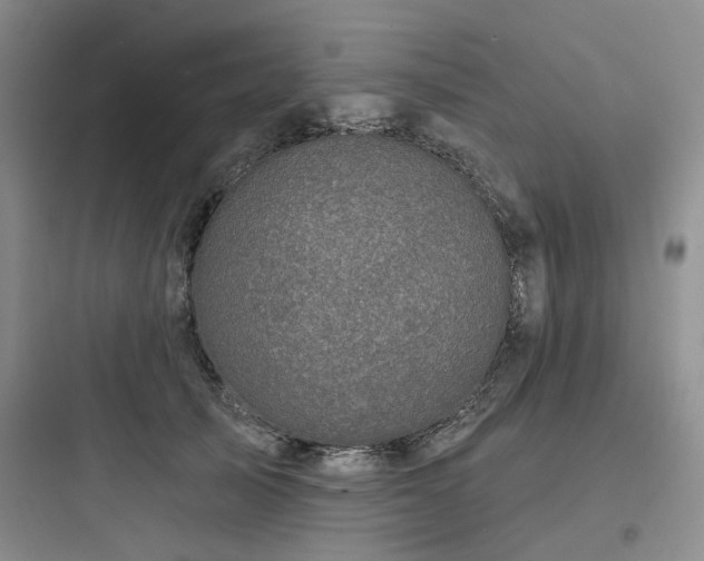 X0000097990705200803241341