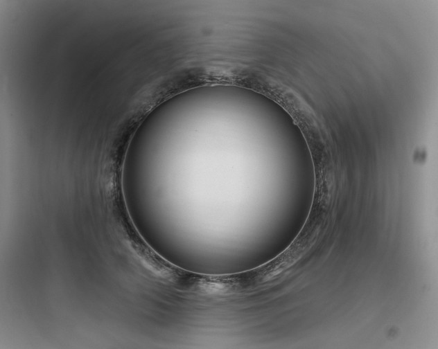 X0000097990706200803241341