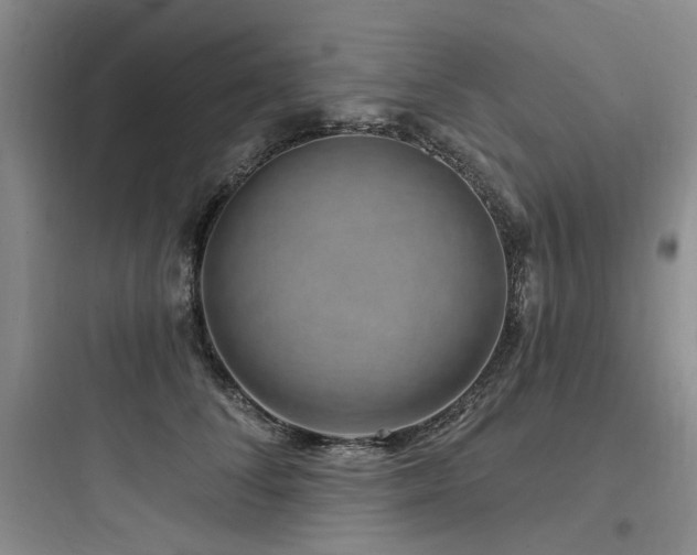 X0000097990708200803241341