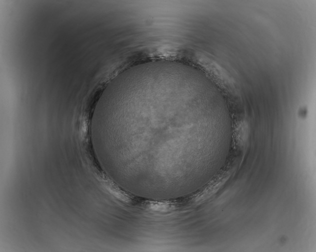 X0000097990709200803241341