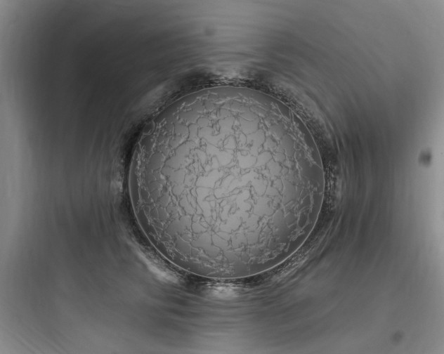 X0000097990710200803241341