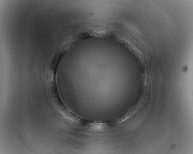 X0000097990711200803241341