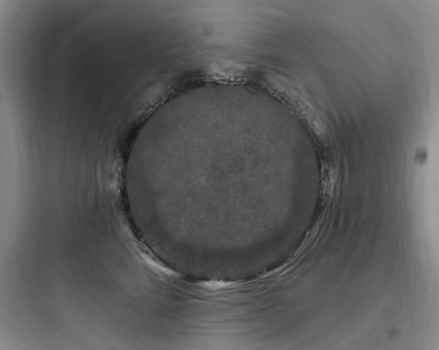 X0000097990712200803241341