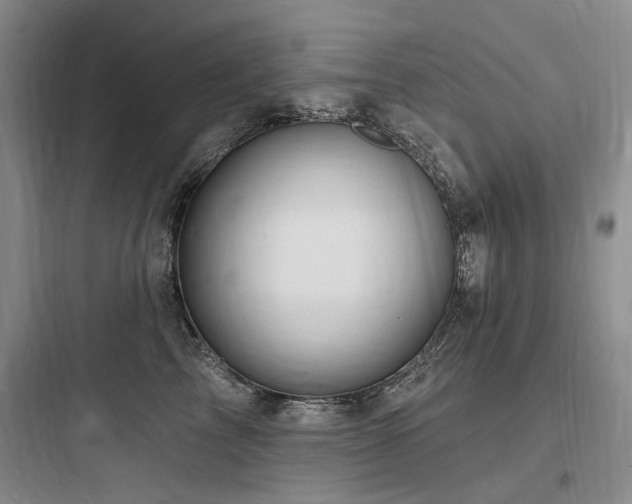 X0000097990713200803241341