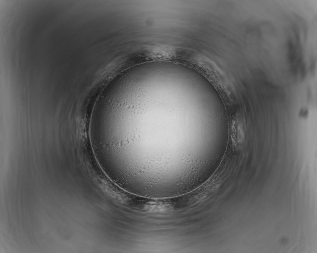 X0000097990714200803241341