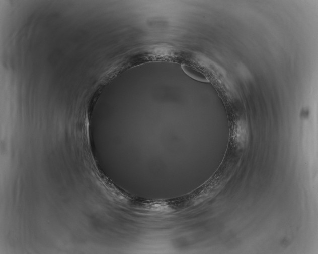 X0000097990715200803241341