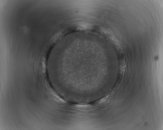 X0000097990716200803241341