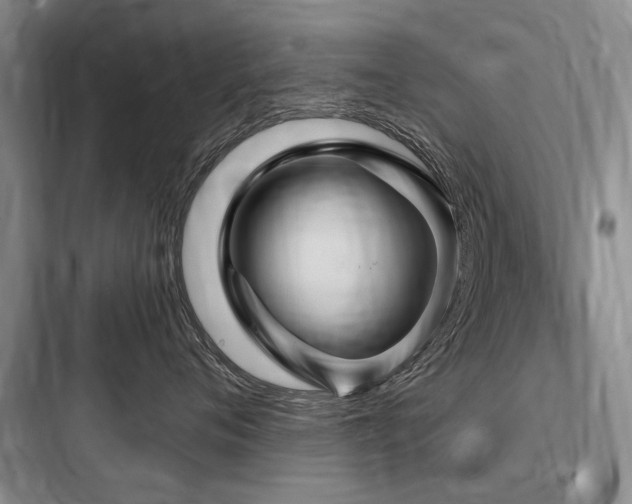 X0000097990720200803241341