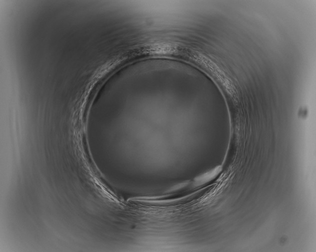 X0000097990721200803241340
