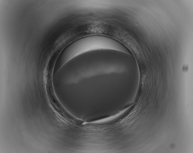 X0000097990722200803241340