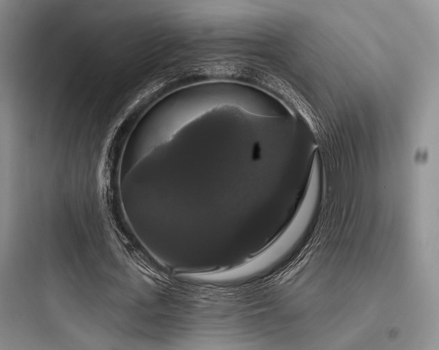 X0000097990723200803241340