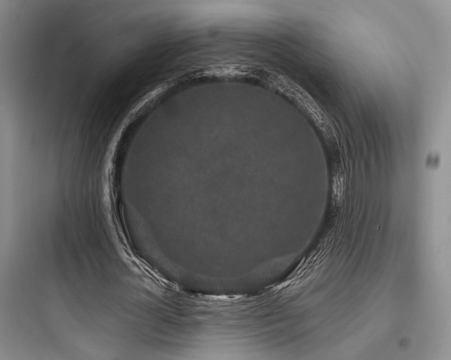 X0000097990724200803241341
