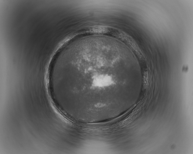 X0000097990726200803241341