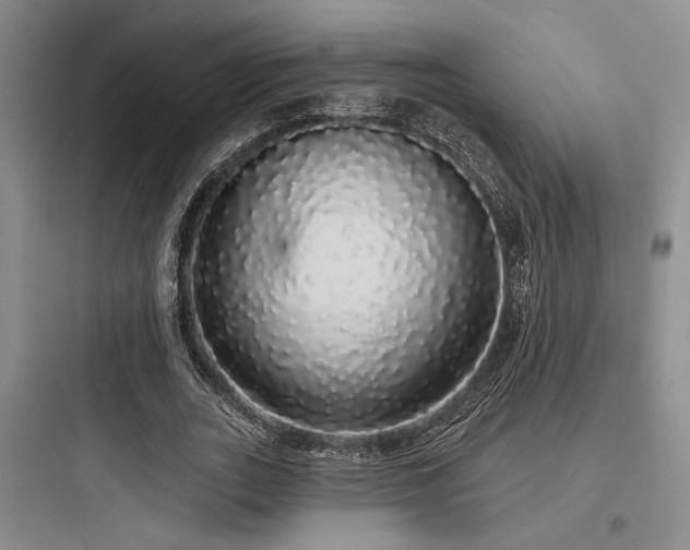 X0000097990727200803241341