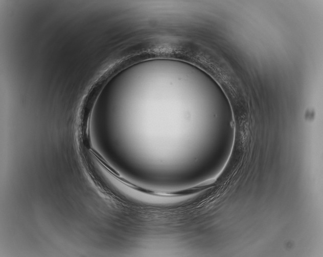X0000097990728200803241341